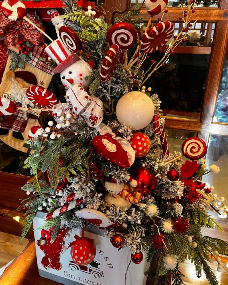 galeria_natal_4